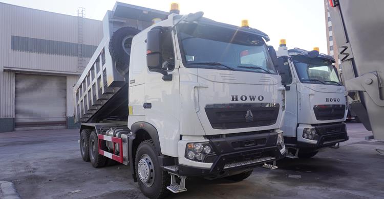 Howo Sinotruk 6X4 Tipper Truck 371 for Sale In Guinea