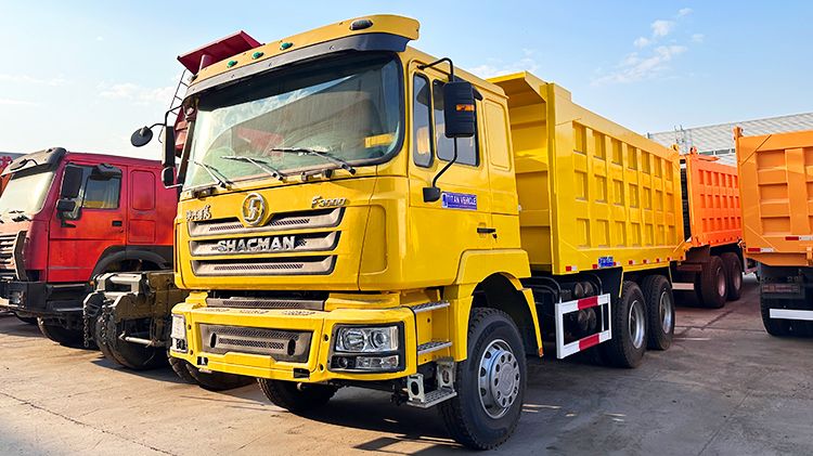 Used Shacman Dump Truck for Sale Price in Guinea
